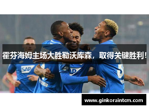 霍芬海姆主场大胜勒沃库森，取得关键胜利！
