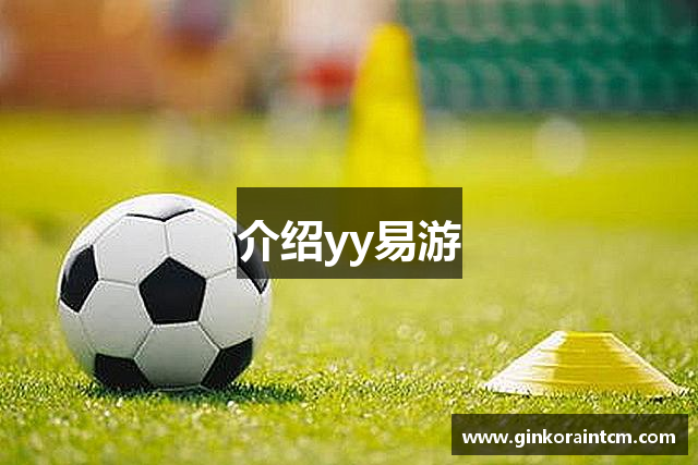 介绍yy易游